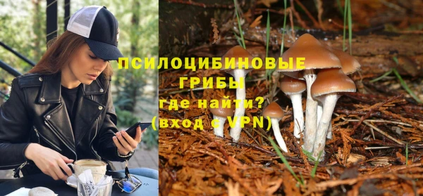 СК Балахна