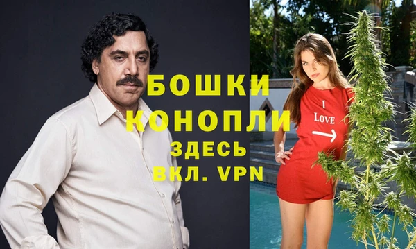 сатива Медногорск