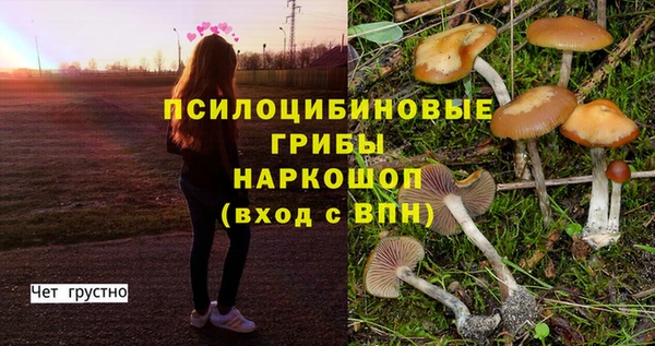сатива Медногорск