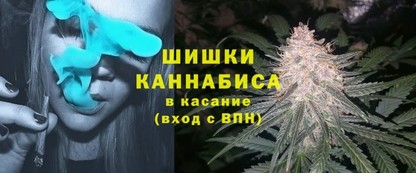 индика Вязьма