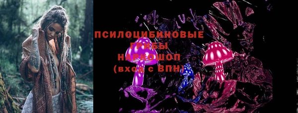 сатива Медногорск
